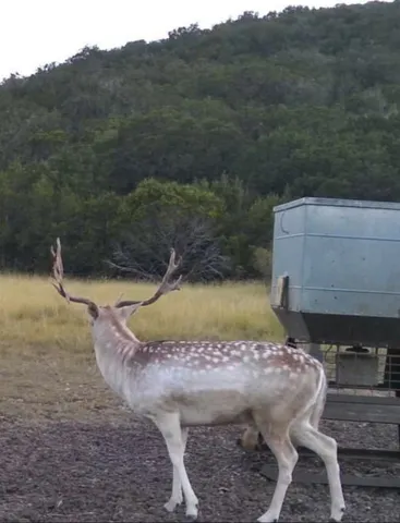 a backyard of a house