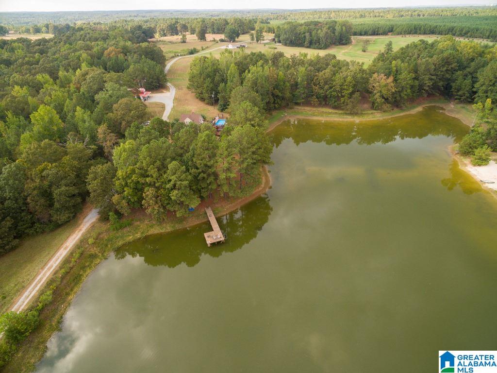 2307 County Road 46 Montevallo, AL 35115 - Photo 32 of 45