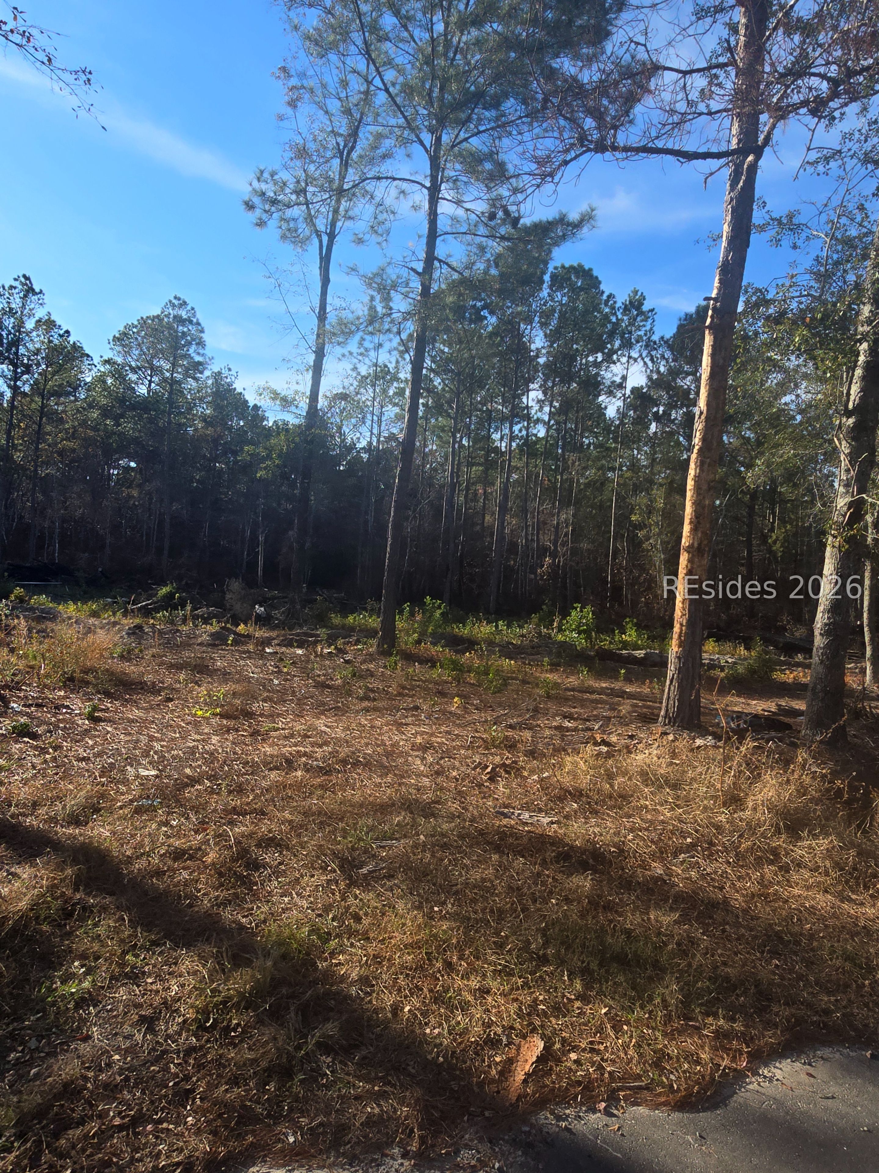 Tbd Langfordville Road Ridgeland, SC 29936 - Photo 1 of 1