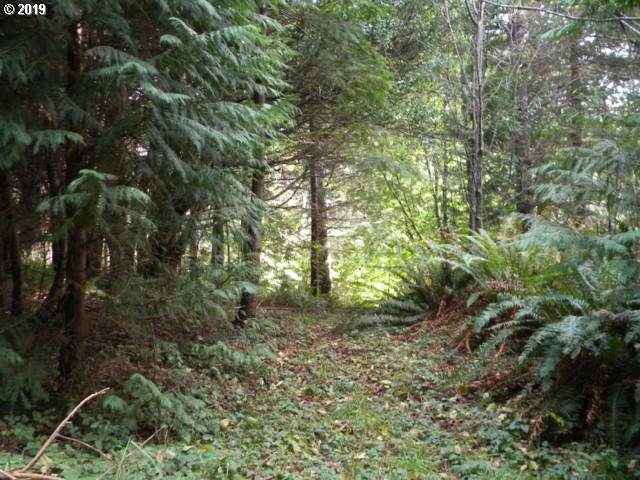 Skyview Ranch Road Gold Beach, OR 97444 - Photo 2 of 4 a view of a forest with trees in the background