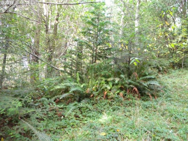 Skyview Ranch Road Gold Beach, OR 97444 - Photo 3 of 4 a view of a lush green forest