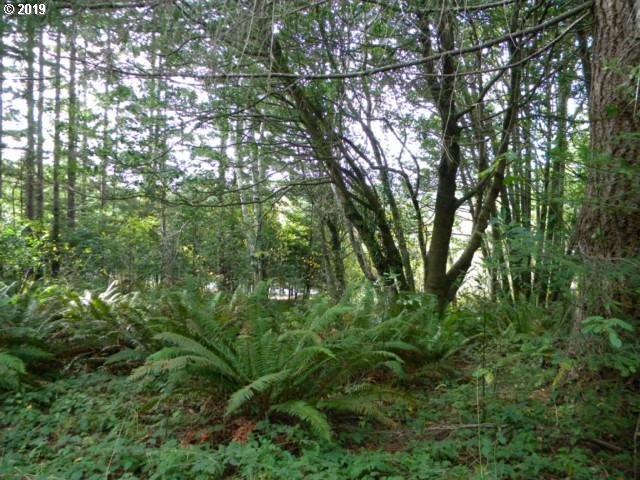 Skyview Ranch Road Gold Beach, OR 97444 - Photo 4 of 4 a view of a lush green forest