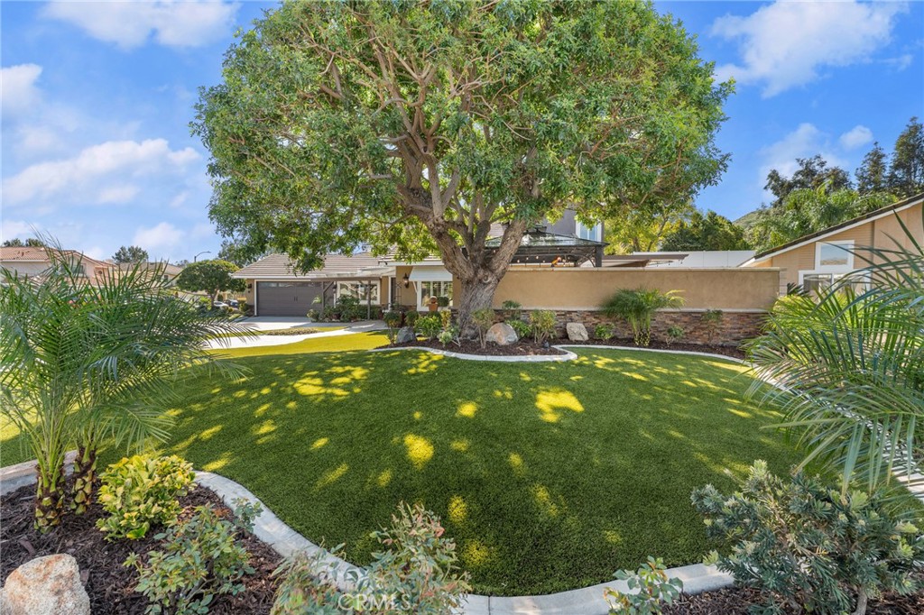 16825 Winterbrook Circle Riverside, CA 92503 - Photo 32 of 42 a backyard of a house with lots of green space