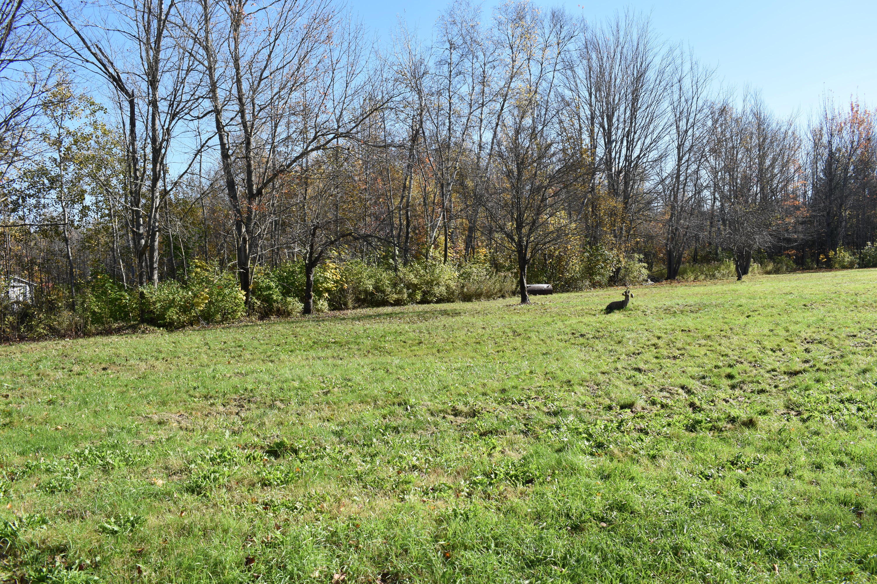 302 Enfield Road Lincoln, ME 04457 - Photo 17 of 20 DSC_0082