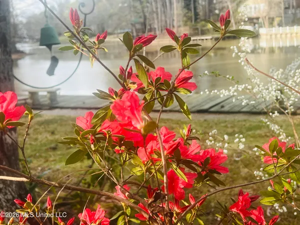 $575,000 | 402 Glen Cove Road, Brandon, MS 39047