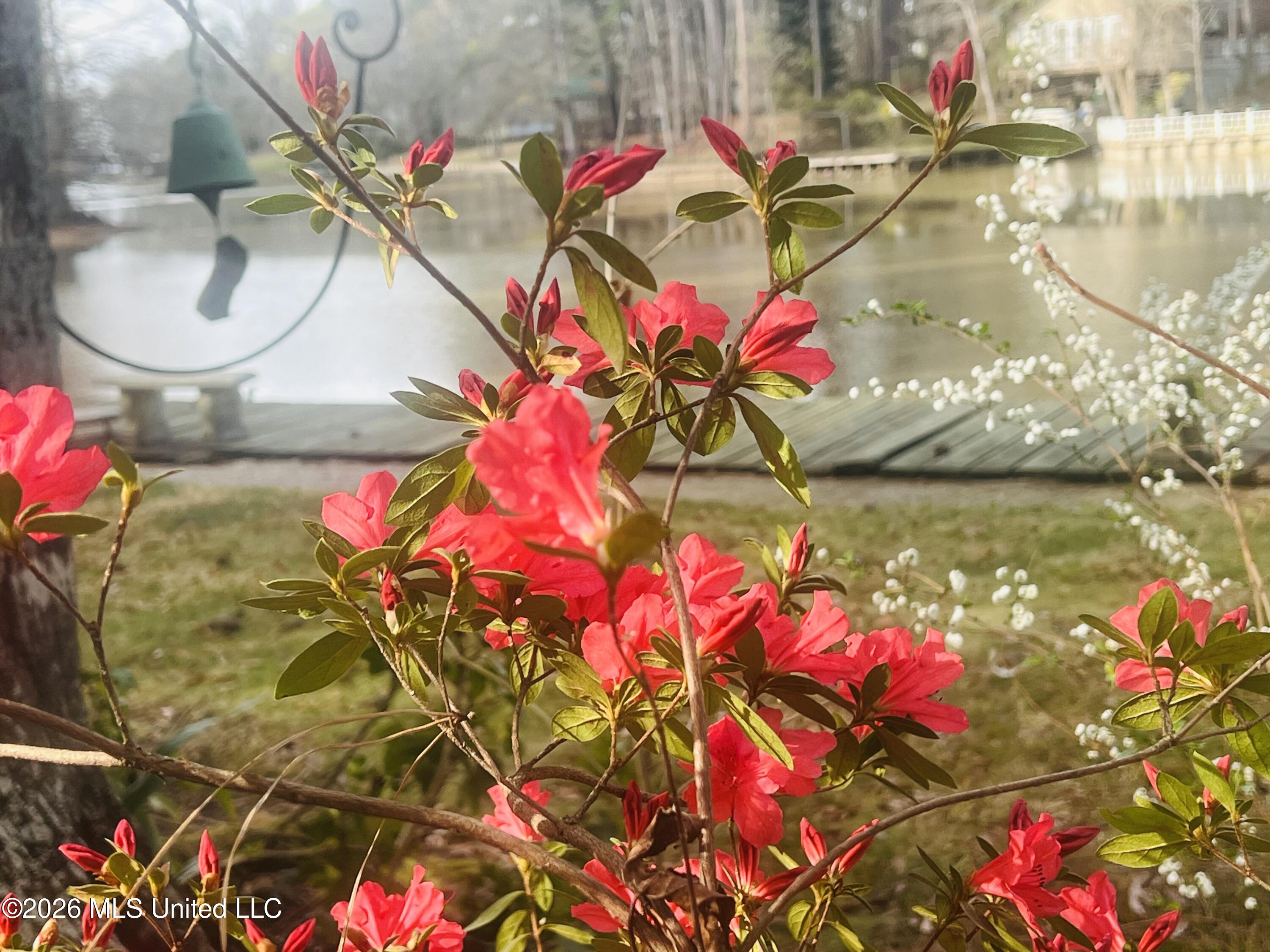 402 Glen Cove Road Brandon, MS 39047 - Photo 30 of 49 IMG_0739