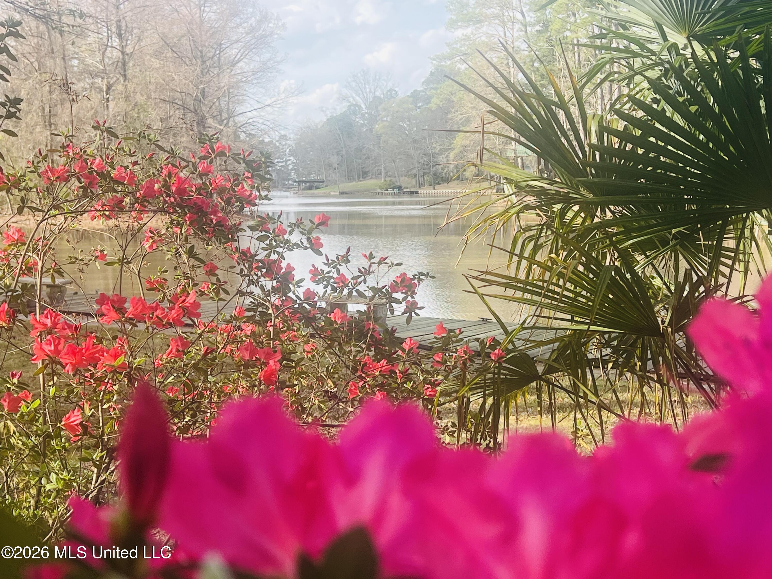 402 Glen Cove Road Brandon, MS 39047 - Photo 3 of 49 IMG_0740