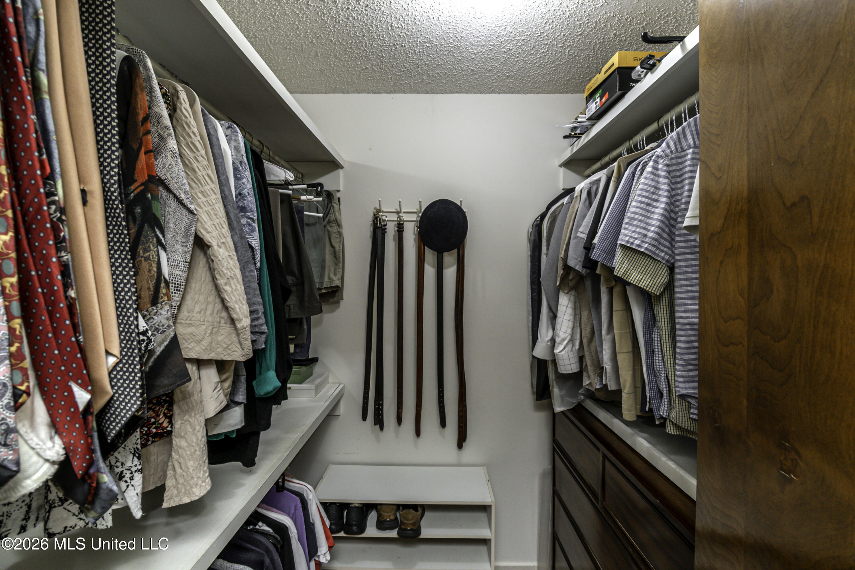 402 Glen Cove Road Brandon, MS 39047 - Photo 37 of 49 402 Glen Cv-4398