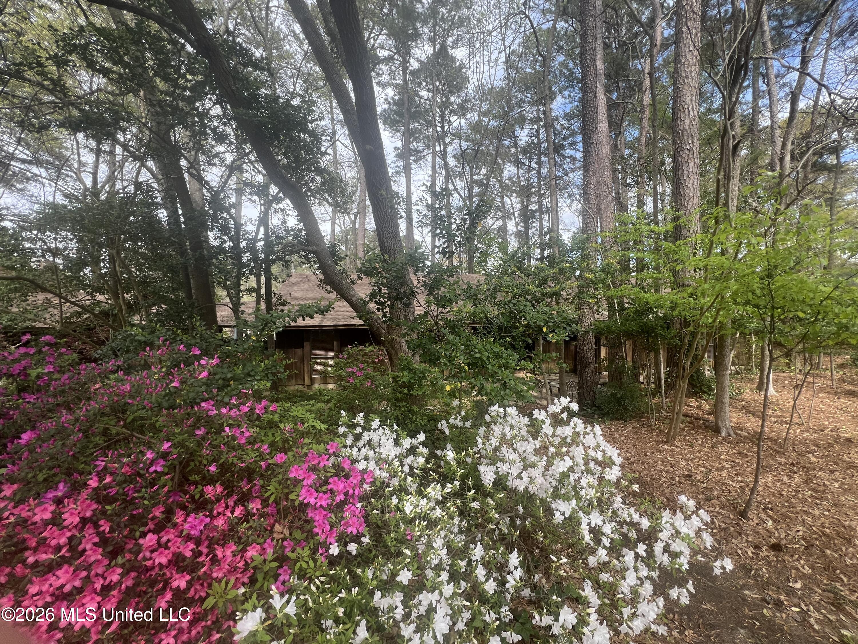 402 Glen Cove Road Brandon, MS 39047 - Photo 45 of 49 IMG_0932