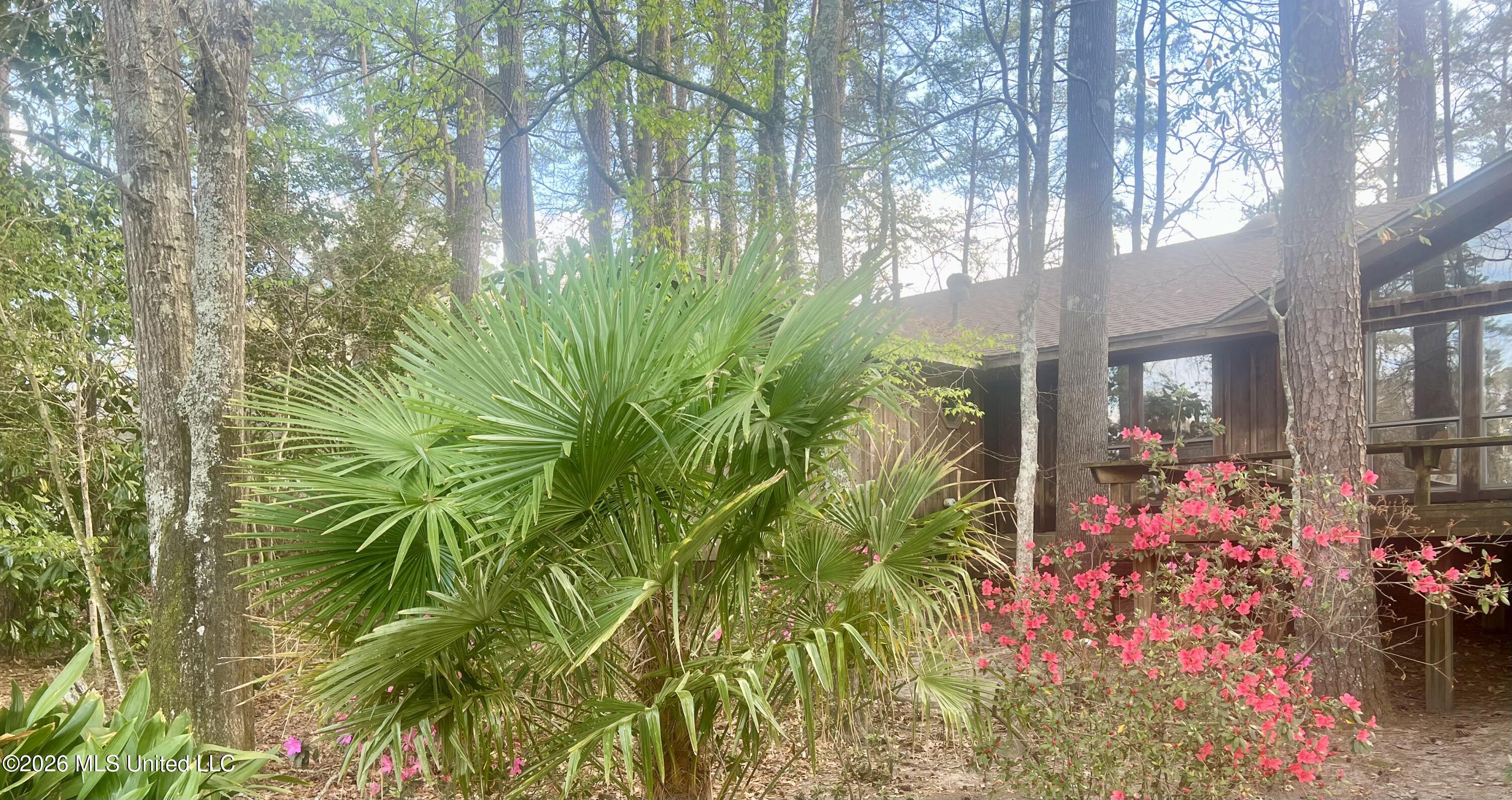 402 Glen Cove Road Brandon, MS 39047 - Photo 47 of 49 IMG_0737