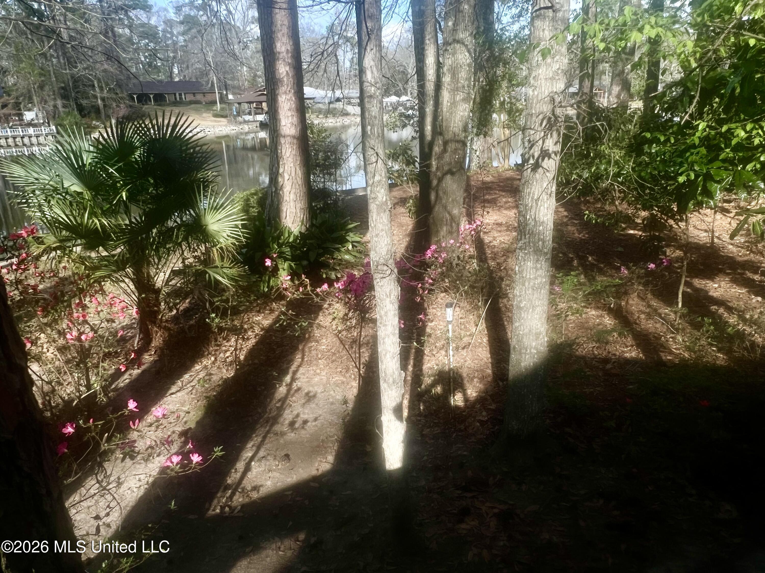 402 Glen Cove Road Brandon, MS 39047 - Photo 48 of 49 IMG_0734