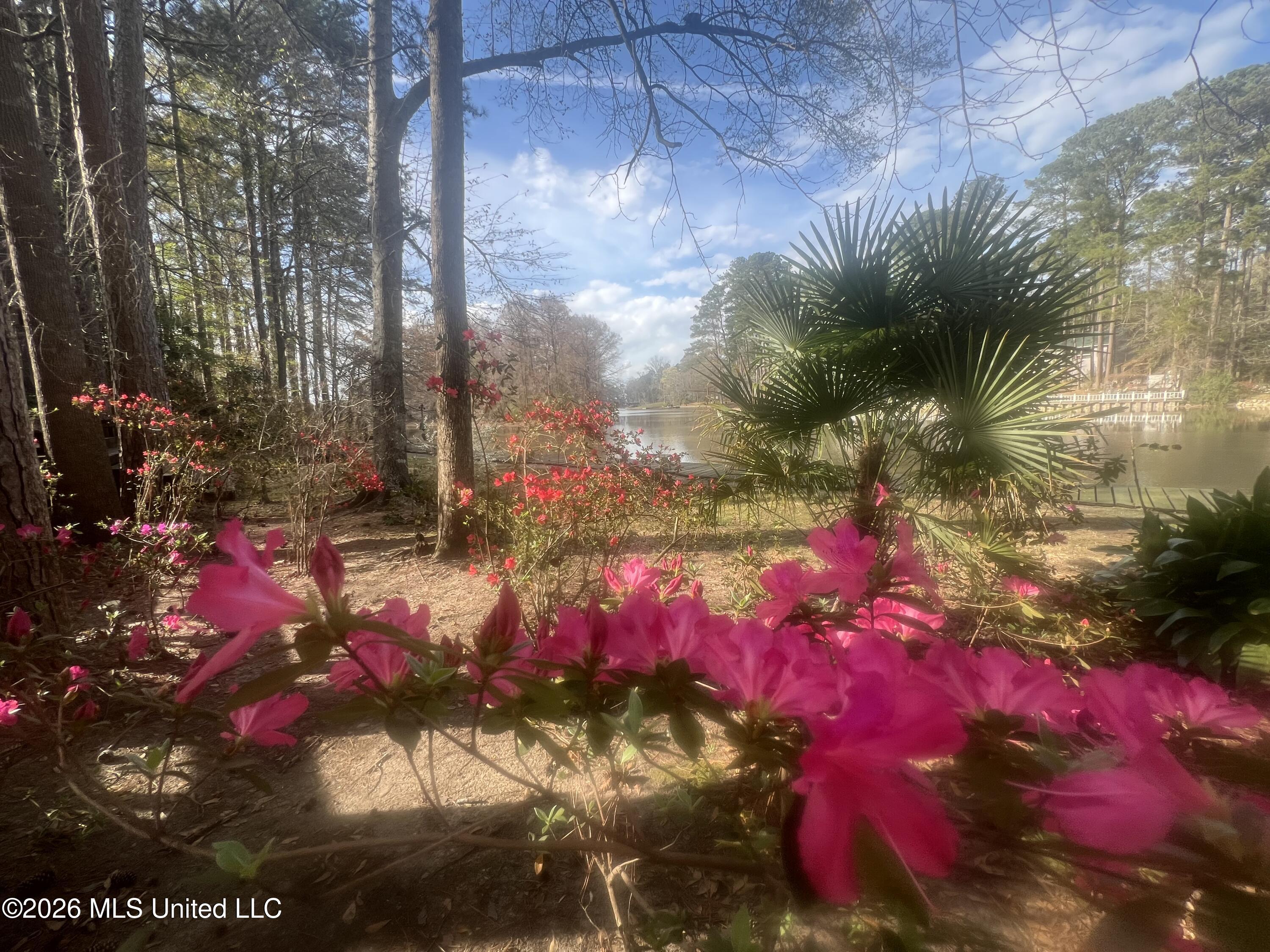 402 Glen Cove Road Brandon, MS 39047 - Photo 49 of 49 IMG_0742