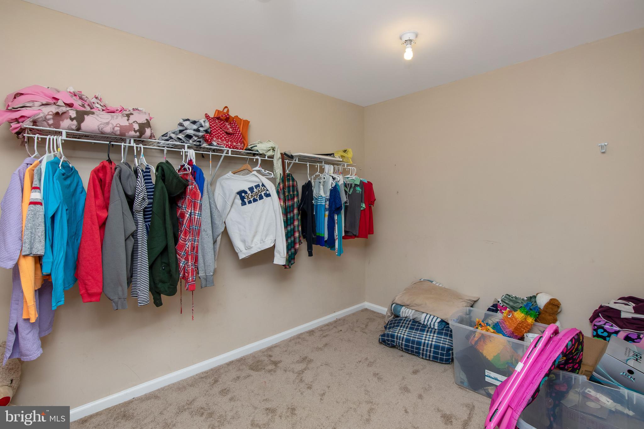 324 East Lake Road Pilesgrove, NJ 08098 - Photo 45 of 75
