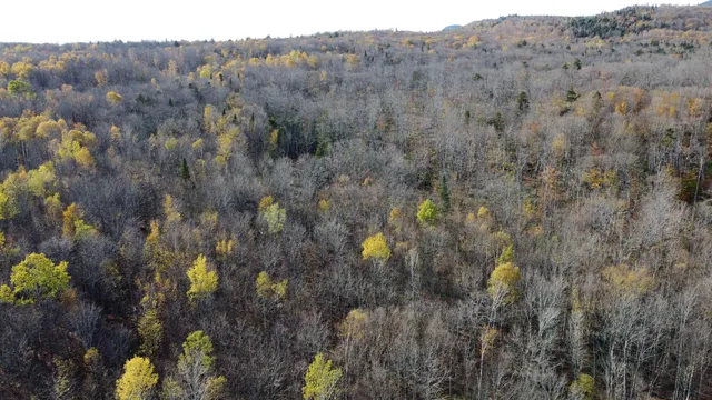 $125,000 | 2098 Kinney Hill Road, Newark, VT 05871