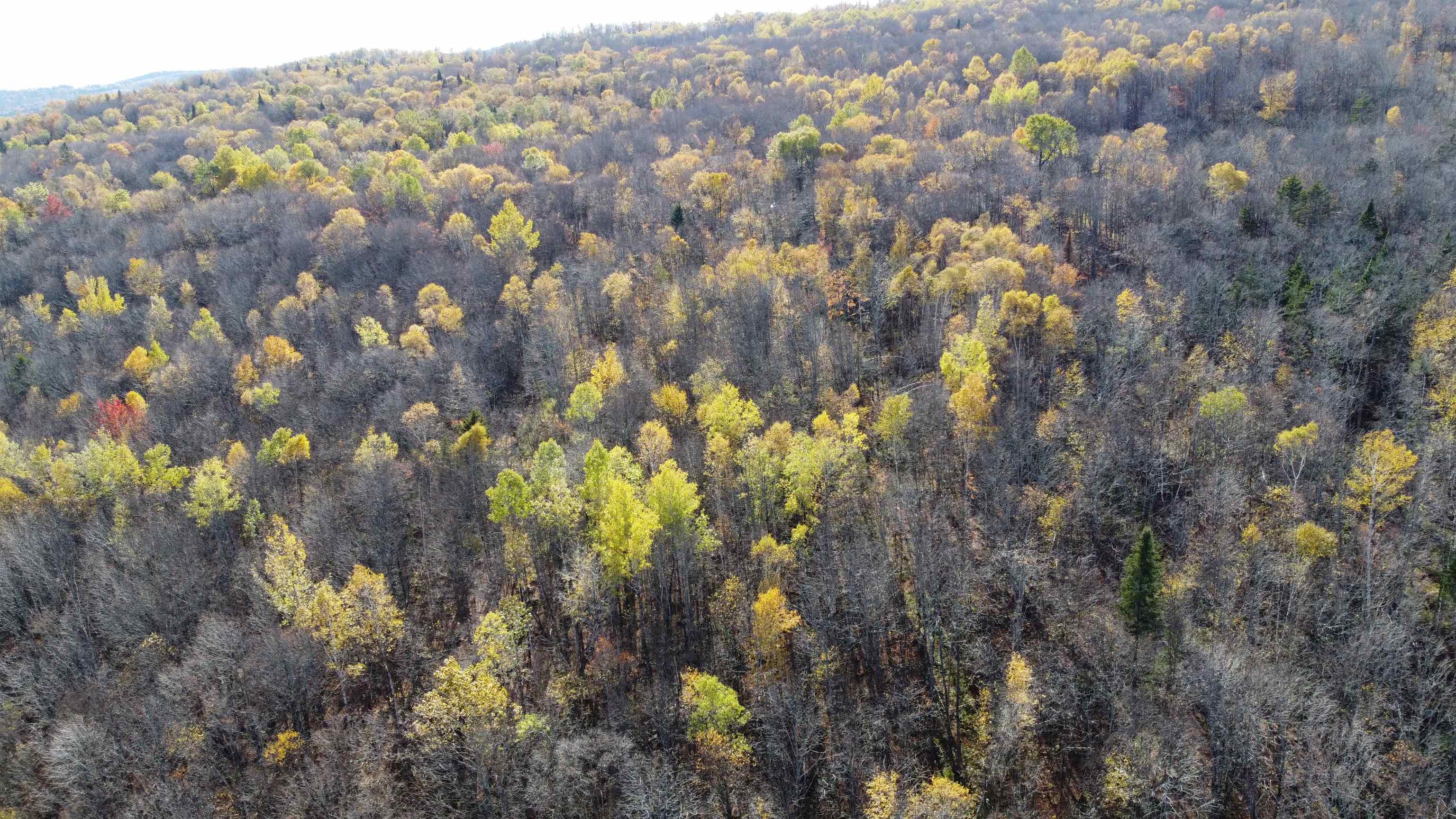 2098 Kinney Hill Road Newark, VT 05871 - Photo 15 of 37