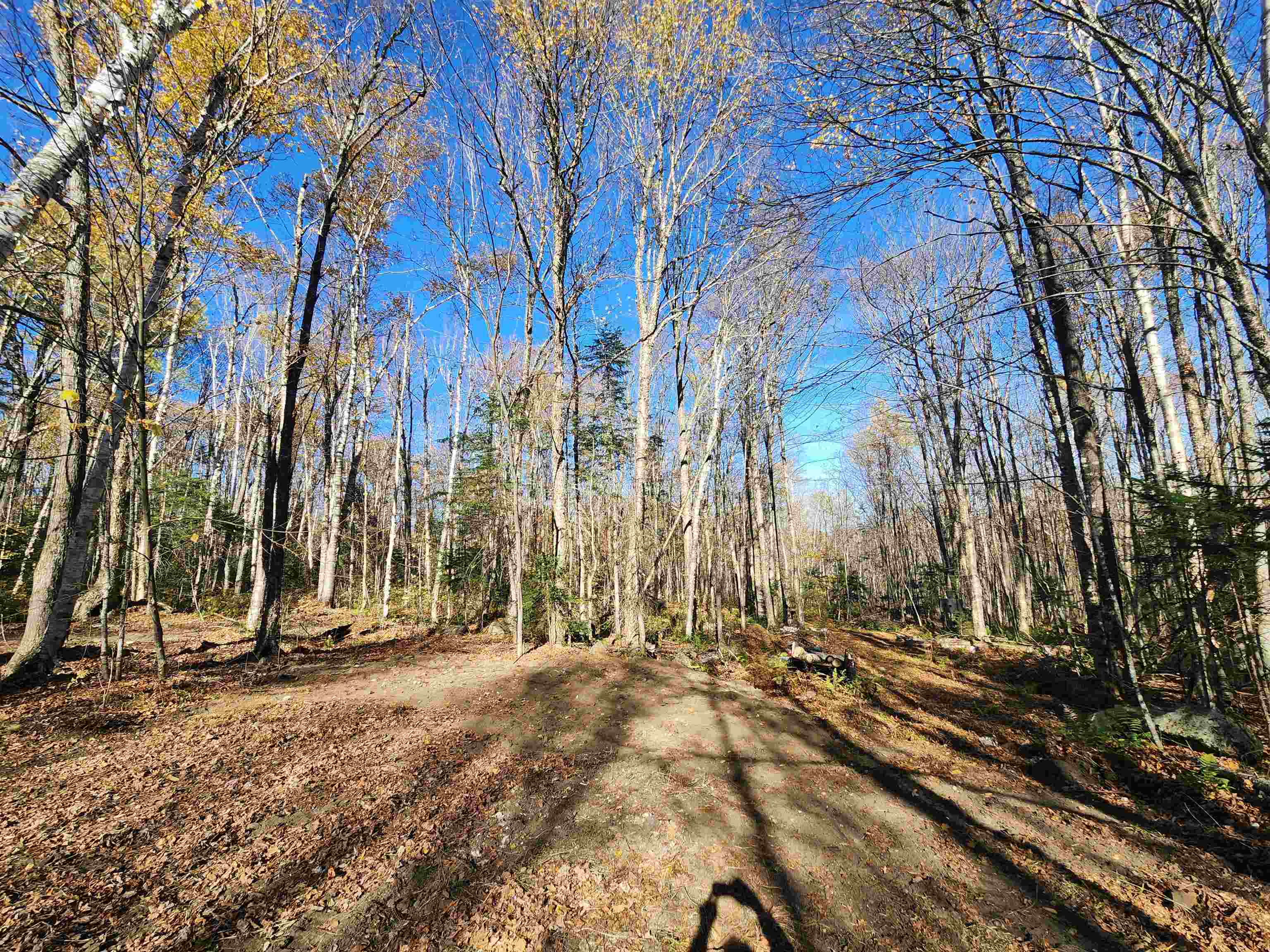 2098 Kinney Hill Road Newark, VT 05871 - Photo 16 of 37