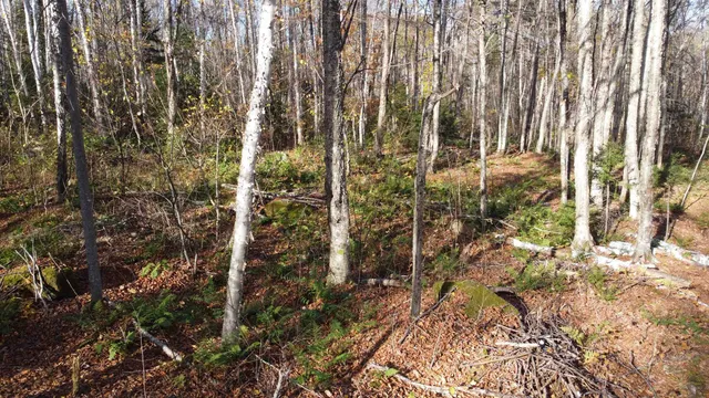 $125,000 | 2098 Kinney Hill Road, Newark, VT 05871