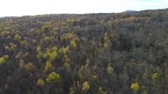 $125,000 | 2098 Kinney Hill Road, Newark, VT 05871