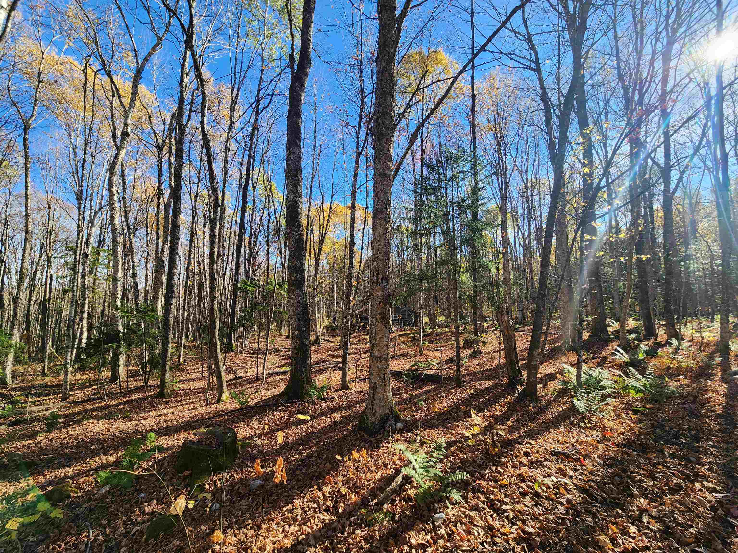 2098 Kinney Hill Road Newark, VT 05871 - Photo 2 of 37