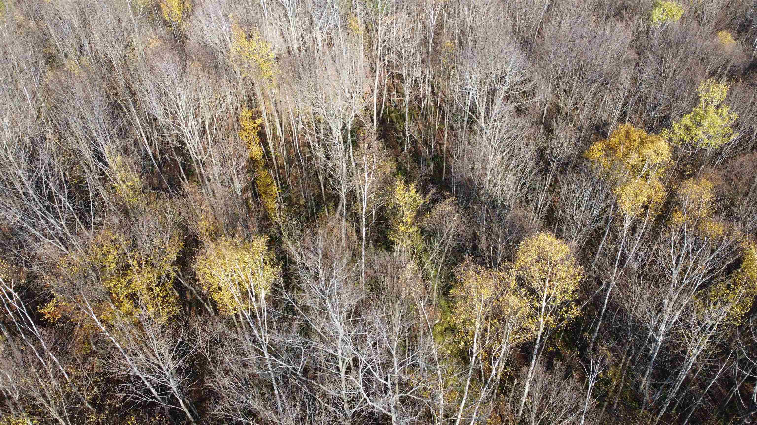 2098 Kinney Hill Road Newark, VT 05871 - Photo 6 of 37