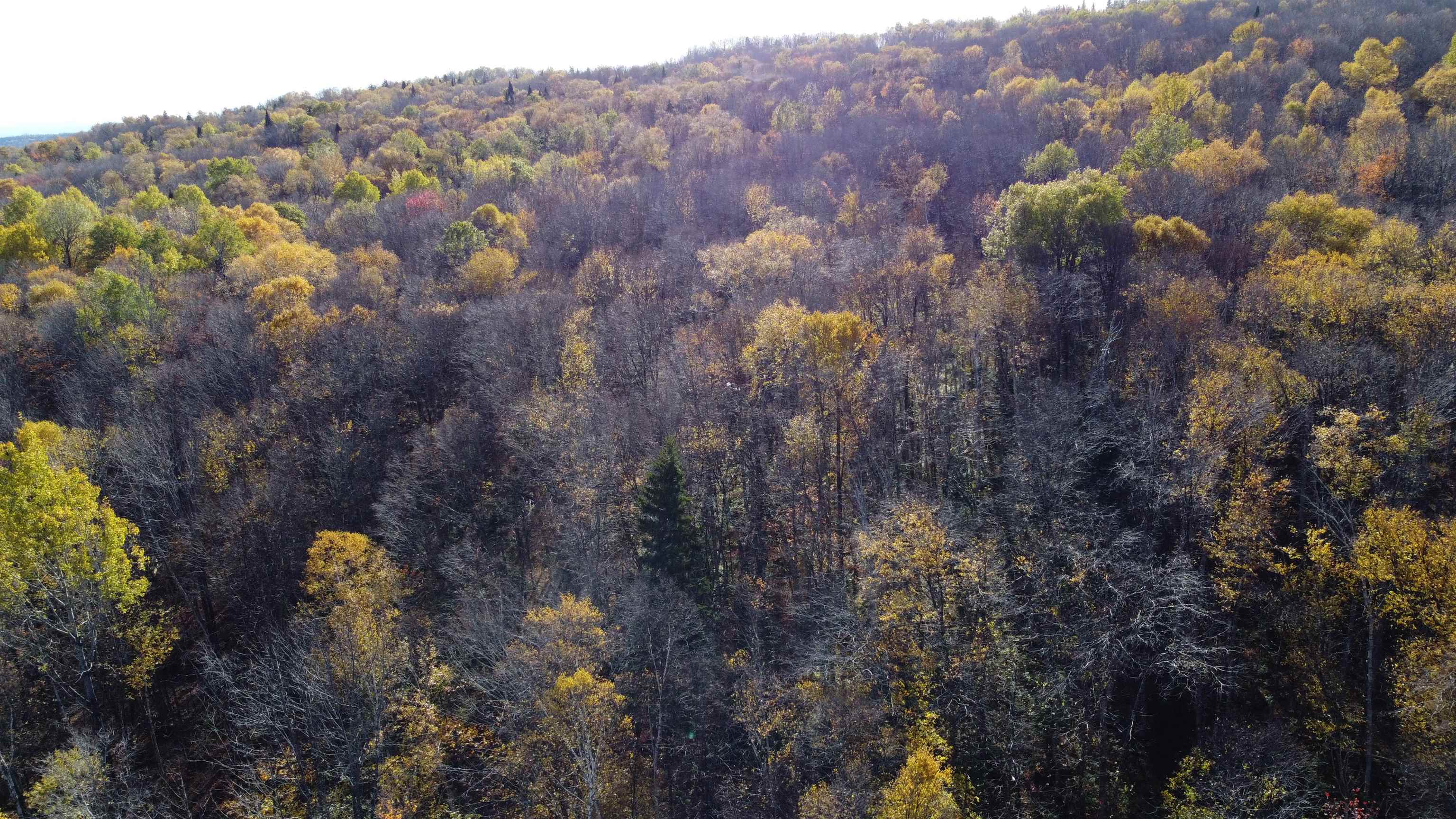 2098 Kinney Hill Road Newark, VT 05871 - Photo 8 of 37