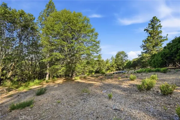 $49,999 | 9003 Fox, Cobb, CA 95426