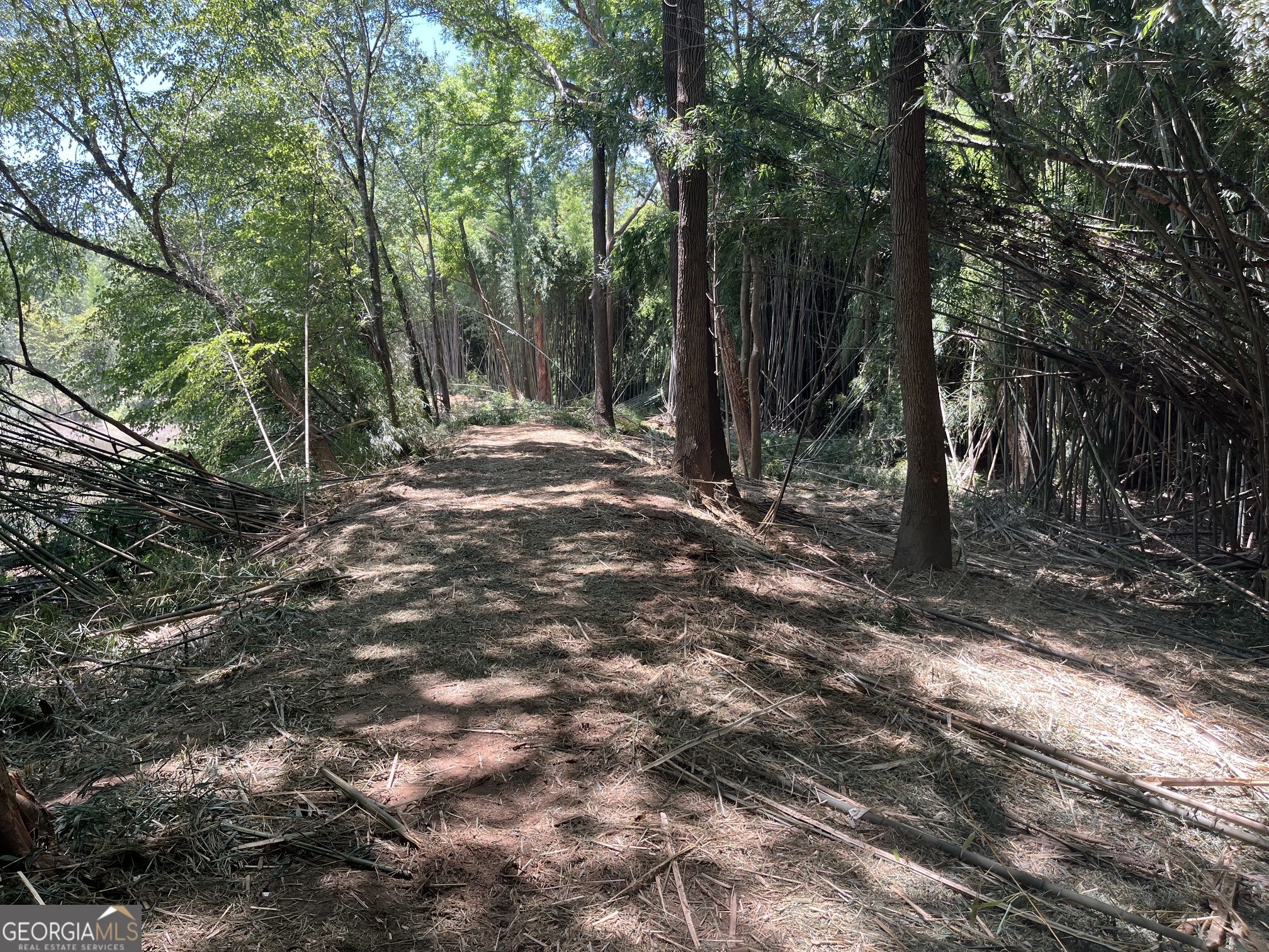 0 Sportsman Club Road Grantville, GA 30220 - Photo 42 of 46 a view of a forest with trees