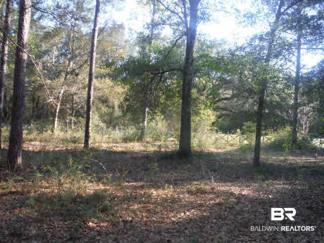33975 Sunset Drive Lillian, AL 36549 - Photo 17 of 17 Other side yard