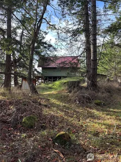 a view of a trees in a yard