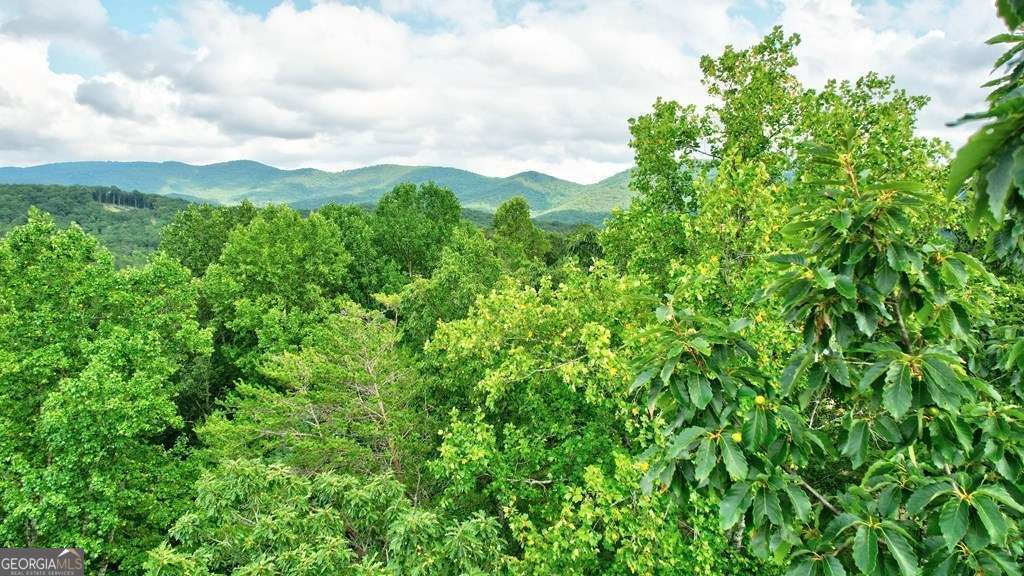 17.67-ac 17.67-ac Rainbow Ridge Ellijay, GA 30536 - Photo 12 of 31 a view of a lush green space