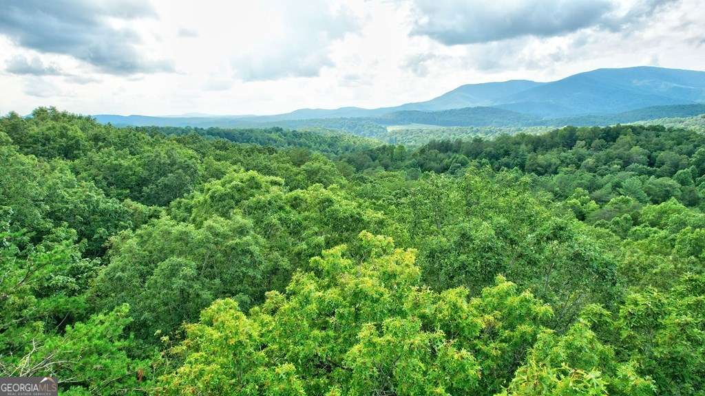 17.67-ac 17.67-ac Rainbow Ridge Ellijay, GA 30536 - Photo 14 of 31 a view of a lush green field with a tree in the background