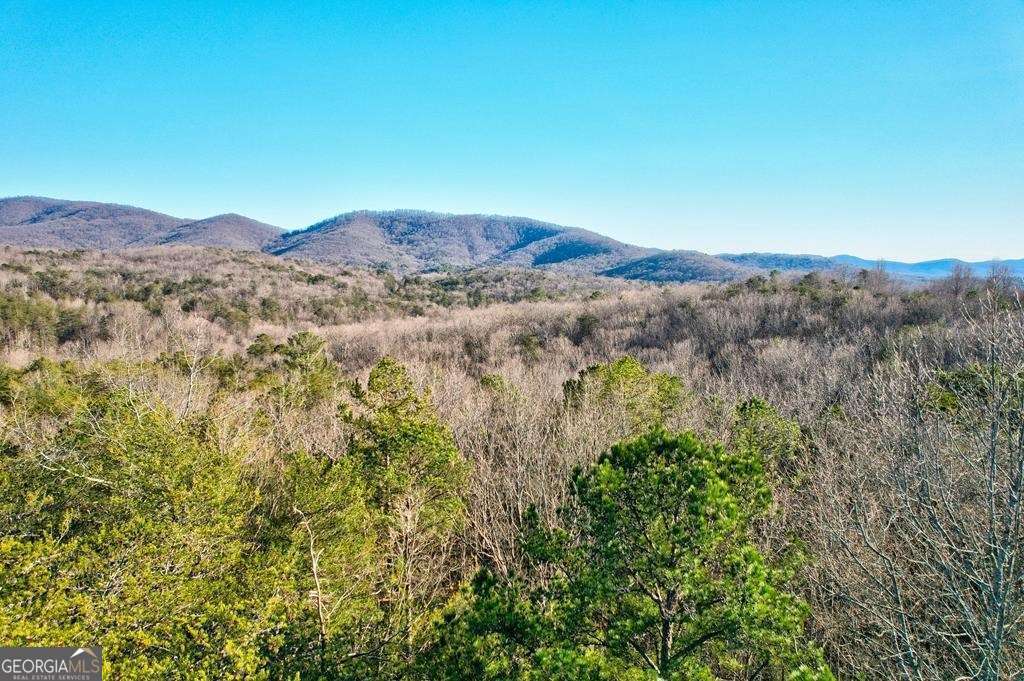 17.67-ac 17.67-ac Rainbow Ridge Ellijay, GA 30536 - Photo 16 of 31 a view of a forest with mountains in the background