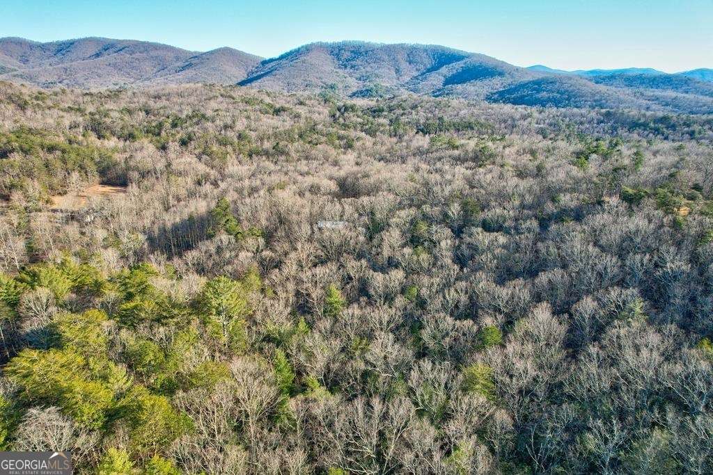 17.67-ac 17.67-ac Rainbow Ridge Ellijay, GA 30536 - Photo 21 of 31 a view of a forest with mountains in the background