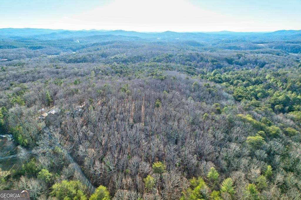 17.67-ac 17.67-ac Rainbow Ridge Ellijay, GA 30536 - Photo 22 of 31