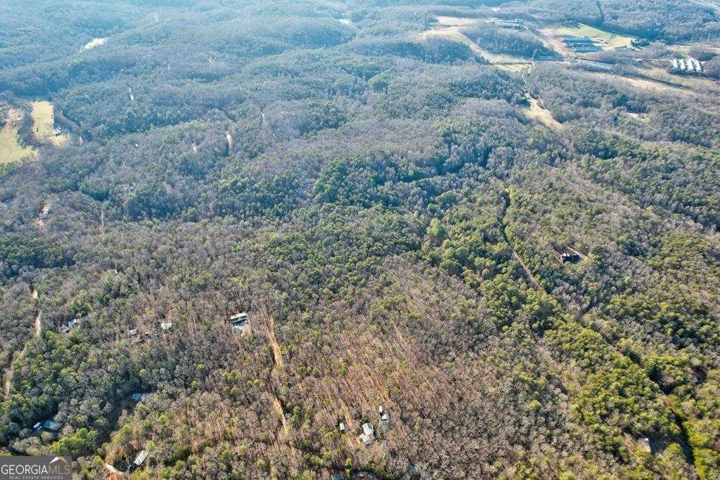 17.67-ac 17.67-ac Rainbow Ridge Ellijay, GA 30536 - Photo 28 of 31 a view of a dry yard with green space