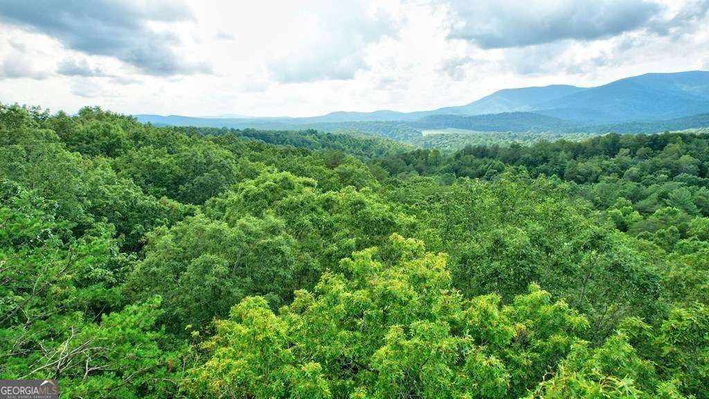 17.67-ac 17.67-ac Rainbow Ridge Ellijay, GA 30536 - Photo 9 of 31 a view of a lush green forest with houses in the back