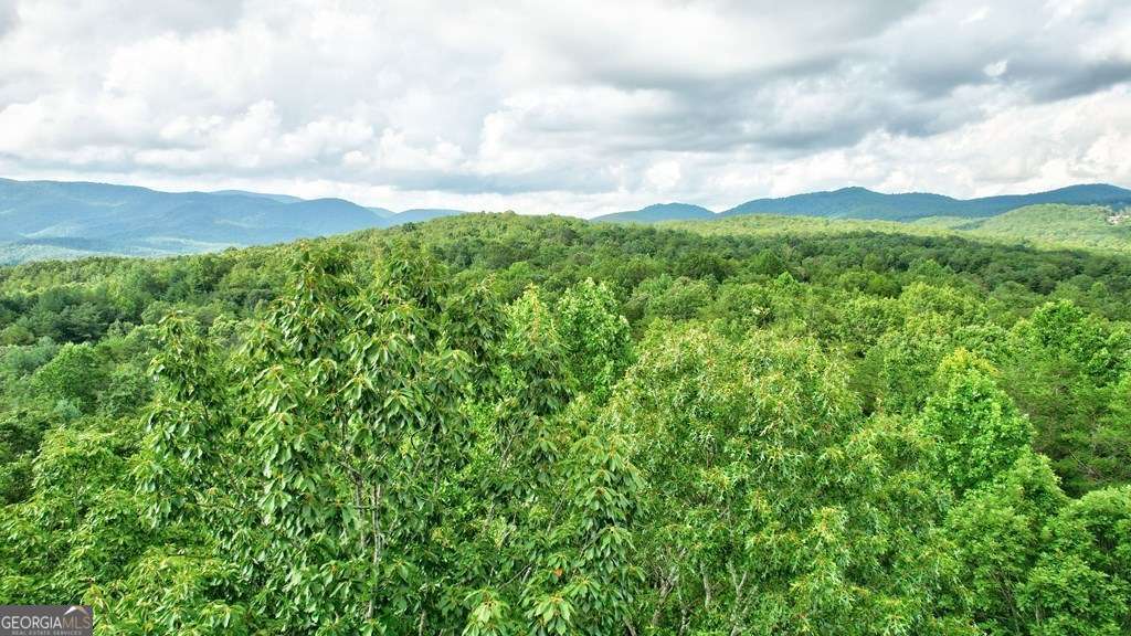 17.67-ac 17.67-ac Rainbow Ridge Ellijay, GA 30536 - Photo 10 of 31 a view of a bunch of trees