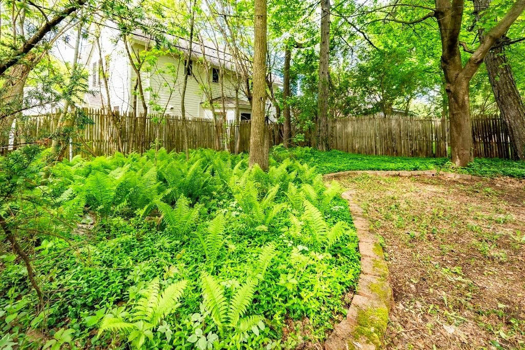 2961 Dexter Road Ann Arbor, MI 48103 - Photo 39 of 40 Photo 39