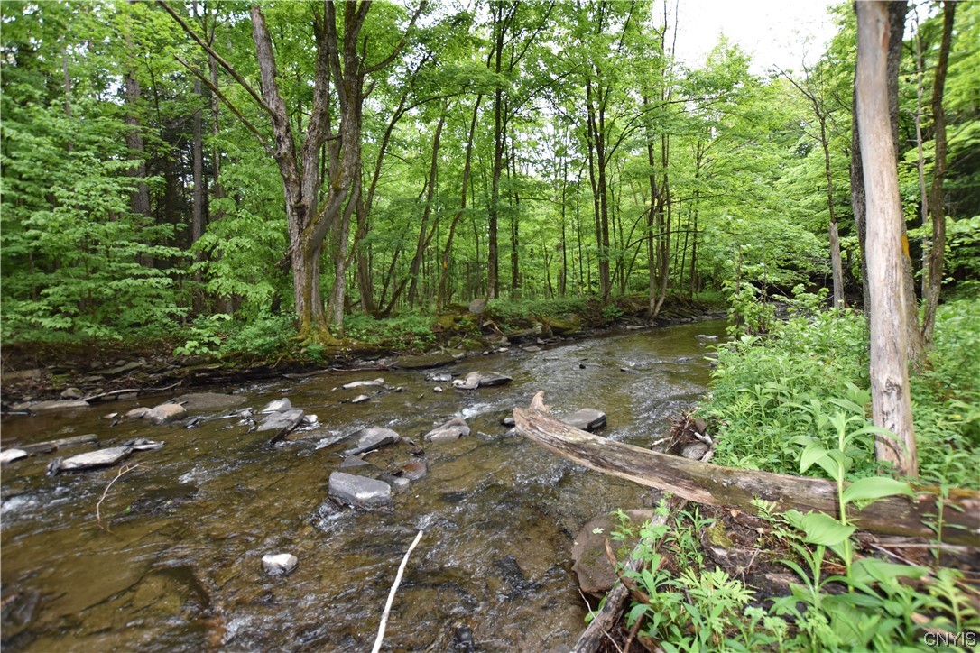 Undisclosed Address Lorraine, NY 13659 - Photo 11 of 31