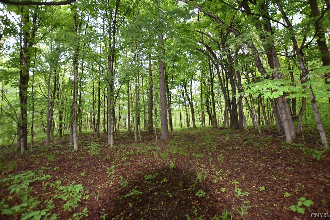 Undisclosed Address Lorraine, NY 13659 - Photo 12 of 31