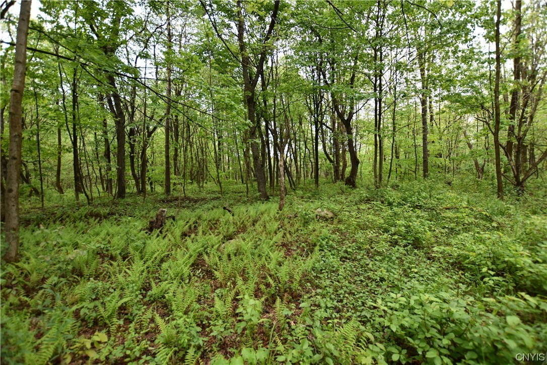 Undisclosed Address Lorraine, NY 13659 - Photo 13 of 31