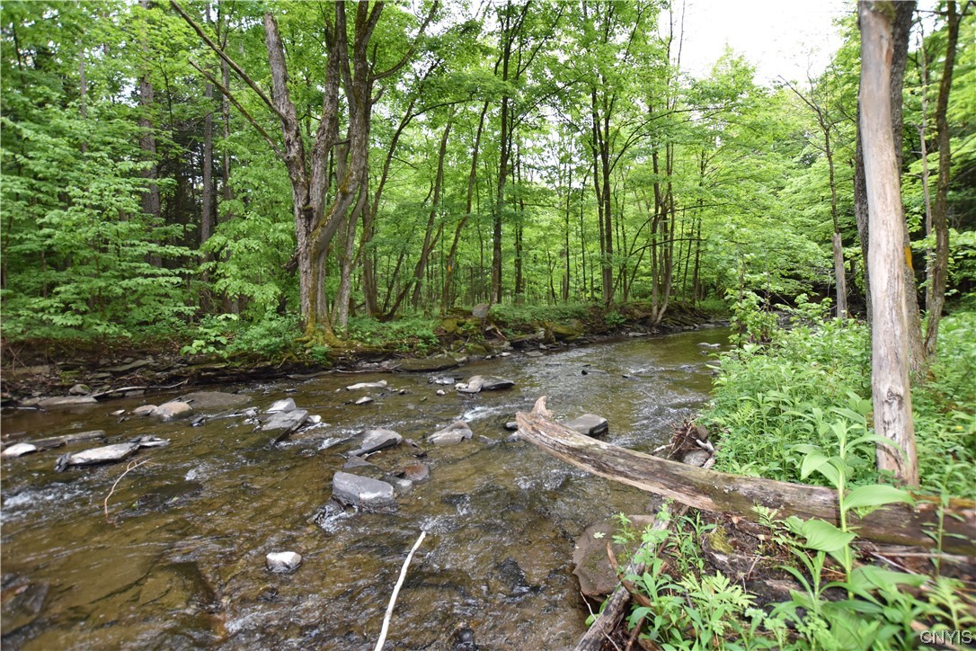 Undisclosed Address Lorraine, NY 13659 - Photo 14 of 31