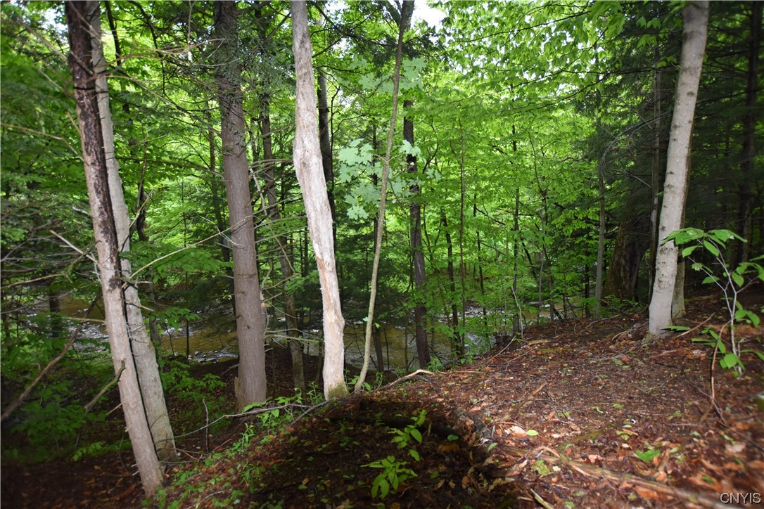 Undisclosed Address Lorraine, NY 13659 - Photo 16 of 31