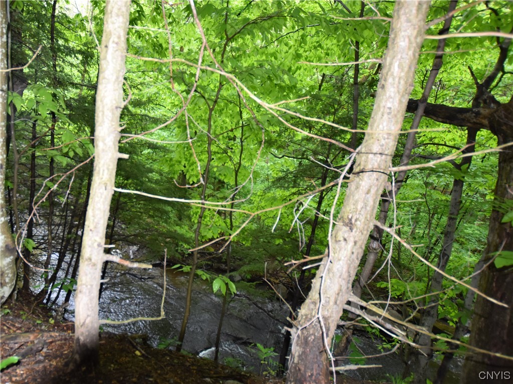 Undisclosed Address Lorraine, NY 13659 - Photo 17 of 31