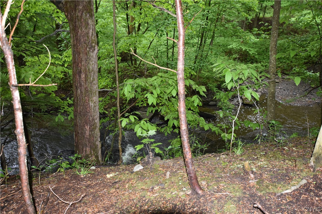 Undisclosed Address Lorraine, NY 13659 - Photo 18 of 31