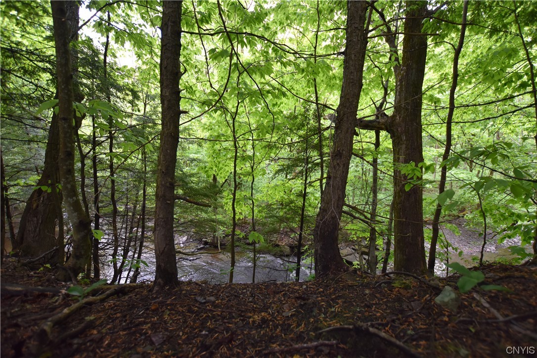 Undisclosed Address Lorraine, NY 13659 - Photo 19 of 31