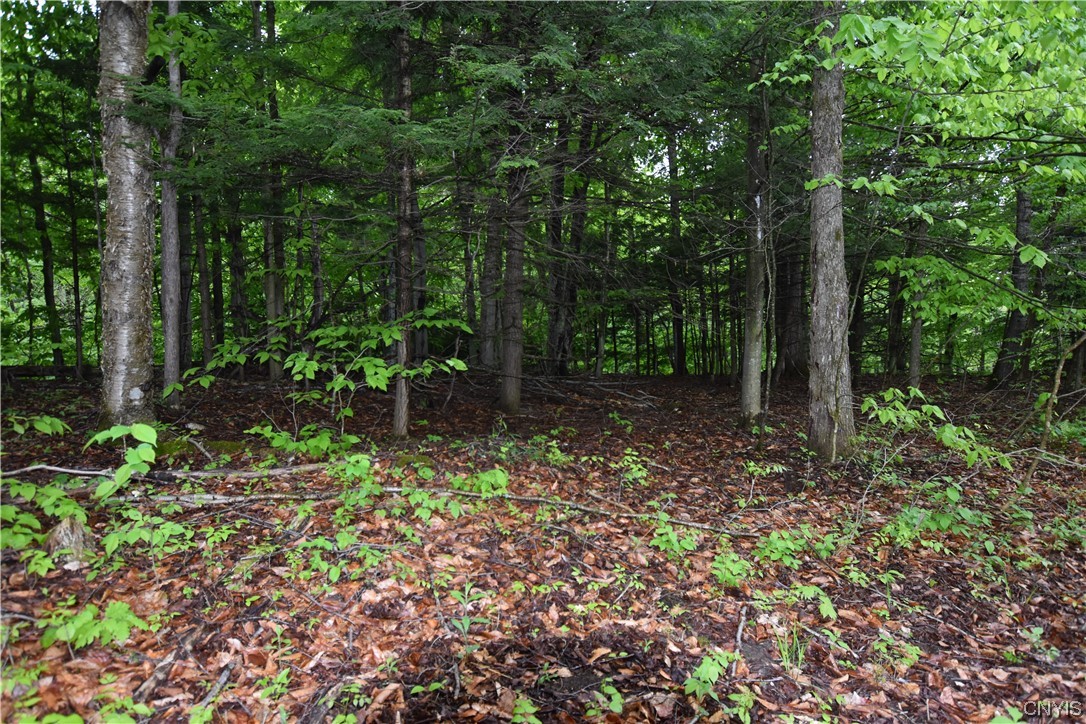 Undisclosed Address Lorraine, NY 13659 - Photo 20 of 31