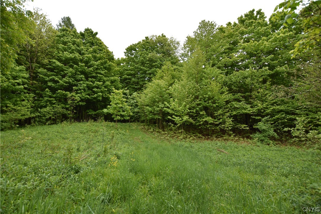 Undisclosed Address Lorraine, NY 13659 - Photo 2 of 31