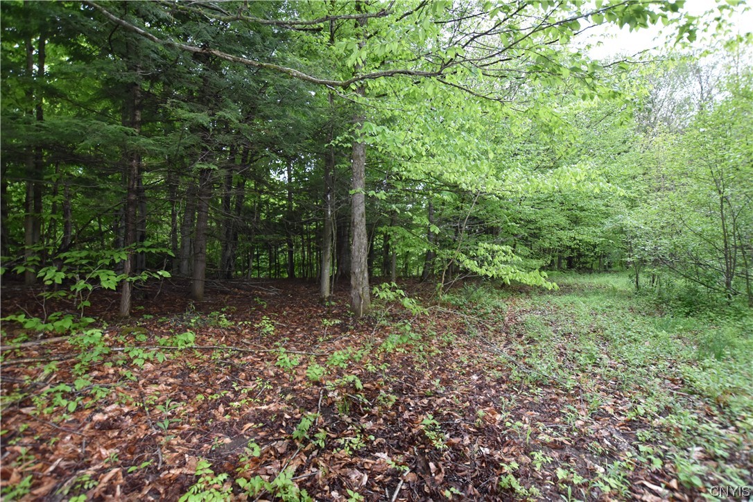 Undisclosed Address Lorraine, NY 13659 - Photo 21 of 31