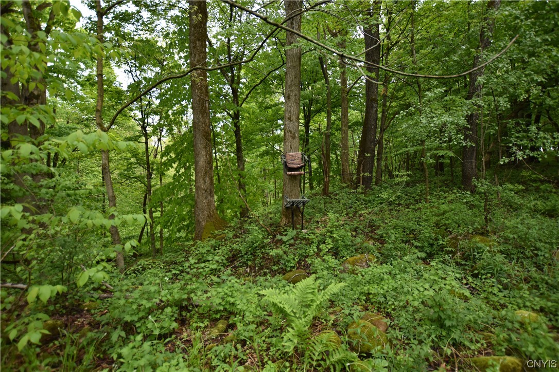 Undisclosed Address Lorraine, NY 13659 - Photo 22 of 31